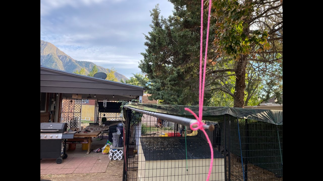 CB Radio Skip 268 Pennsylvania to Salt Lake City Utah on Flat side dog