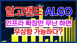 알고랜드 인프라 확장만 무난 하면 우상향 가능하다