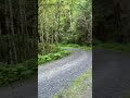 Video of quinalt ridge vistas, WA from Melody E.