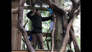 Four Trees - Field Shoot - 2019 screenshot 5