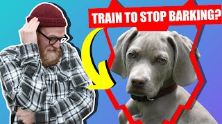 How To Stop Your WEIMARANER Barking