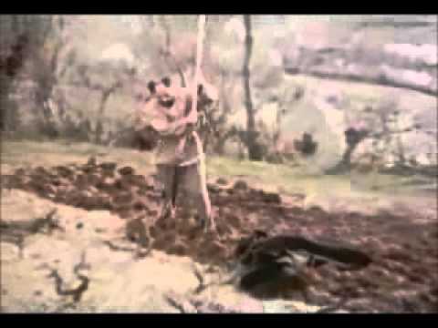 ერთაოზი სარგებლობს მინიკრედიტით