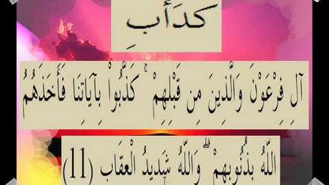 القرآن الكريم سورة آل عمران الأية 11