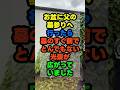 墓参りに行ったら、墓の前がキャンプ場でした