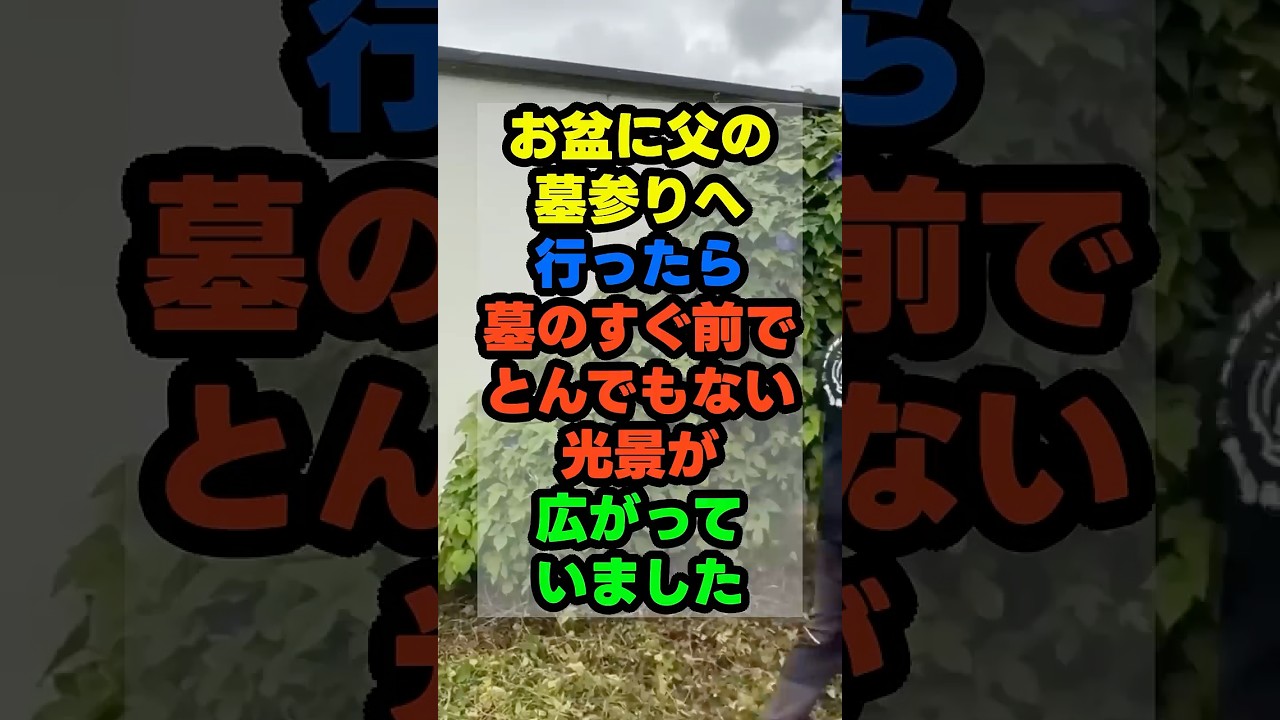墓参りに行ったら、墓の前がキャンプ場でした