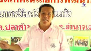 รายการคนไทยหัวใจเกษตร 1 กรกฎาคม 2559 B3