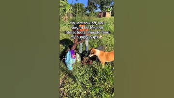 #rescuepuppy POV your donations will make a huge difference to our shelter 🆘💓 #foreverpuppy #pets