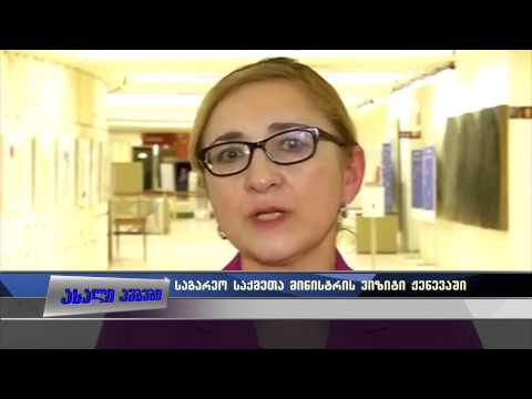 ბერუჩაშვილის ვიზიტი ჟენევაში 03.03.2015