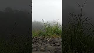 Pemandangan Indah #Shorts #Short #Shortvideo #Pemandangan