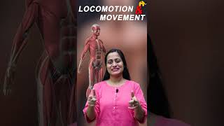 Locomotion and Movement Class 11 Biology with Roshni Mam | NEET Revision #concepthogacrystalclear