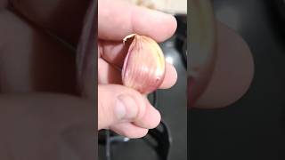 Simpatia Do Alho Para Ele Me Procurar Apaixonado