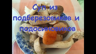видео: Как сварить грибной суп - самый вкусный, надежный и простой рецепт из подберезовиков и других грибов картинка: Как сварить грибной суп - самый вкусный, надежный и простой рецепт из подберезовиков и других грибов
