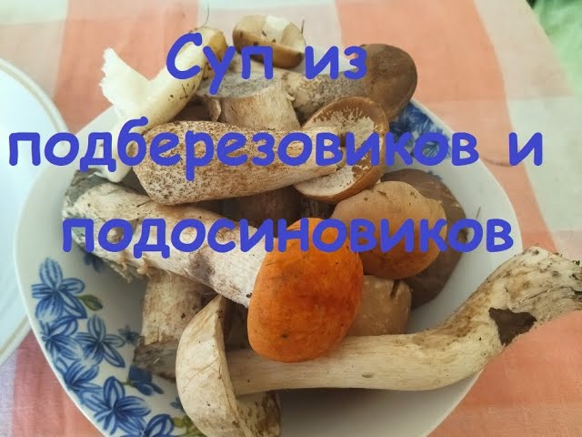 Как сварить грибной суп - самый вкусный, надежный и простой рецепт из подберезовиков и других грибов