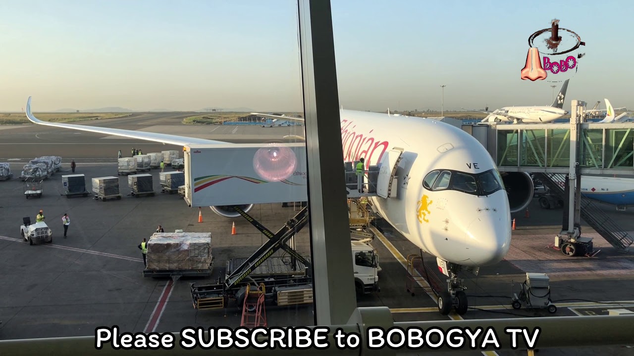 This is how the good you eat on your flight gets in the plane