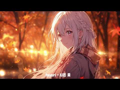 가을에 듣기 좋은 Tayori 시든 꽃 花がら 한국어 자막 