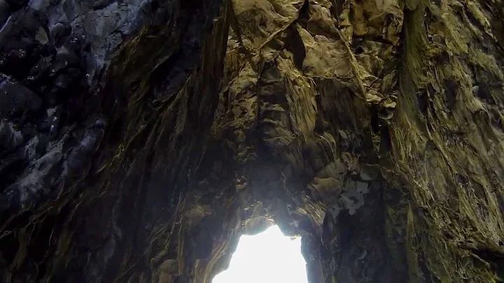 Preserve. Protect. Restore.