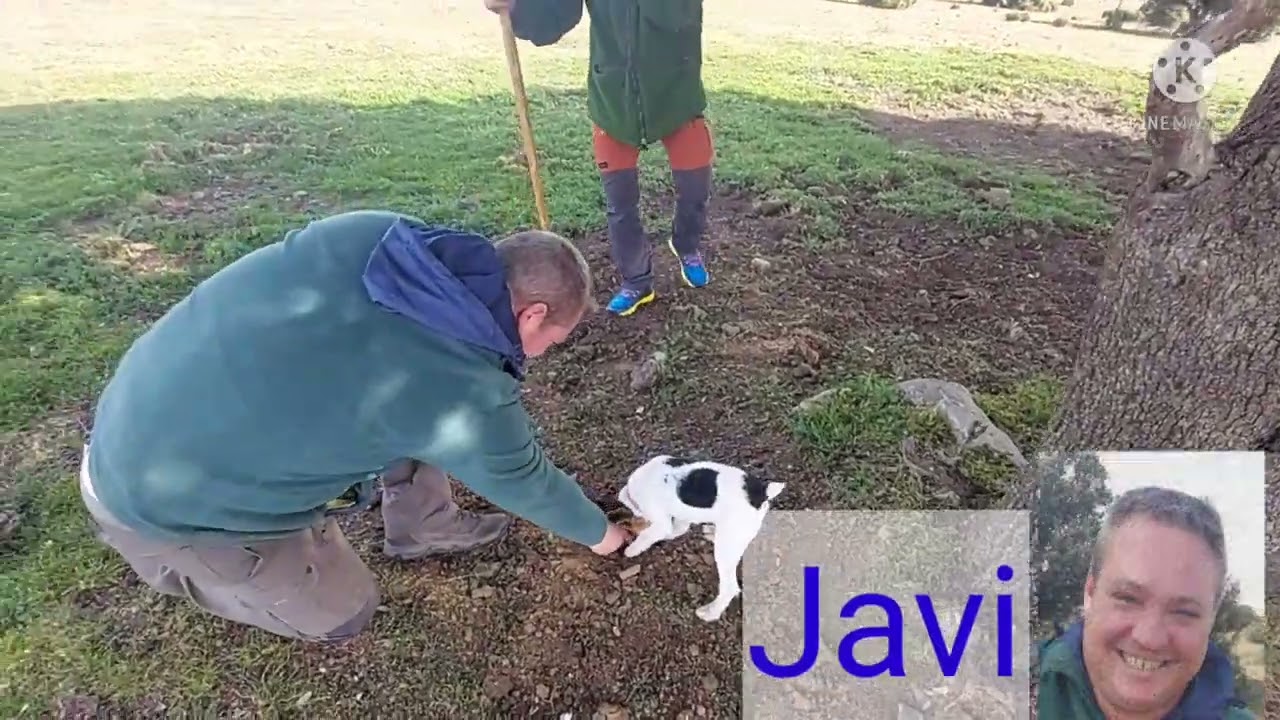 entrenamiento perro trufero