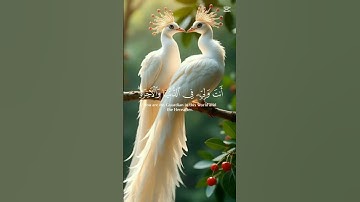 #اكسبلور سورة يوسف آيات بينات من الذكر الحكيم #duet  تلاوة خاشعة #cute