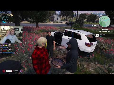 X Catches Rarest Birds to Put in a Cage | GTA RP