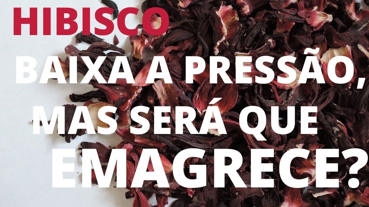 HIBISCO BAIXA A PRESSÃO, MAS SERÁ QUE EMAGRECE MESMO? - YouTube