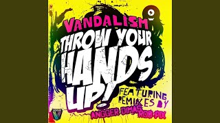 Throw Your Hands Up (Angger Dimas Remix)