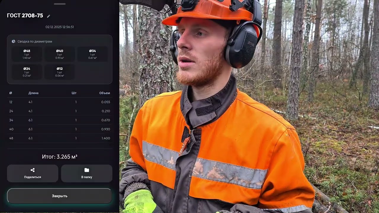 Валка толстого дерева на 55 см с комля бензопилой Stihl ms 361