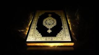 089 - Surah al-Fajr - Shaykh Mahmud Khalil al-Husary - Muallim Recitation - Hafs from Asim