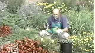 1996 WNEO/WEAO Channels 45/49 Station ID Bug
