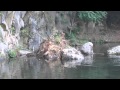 衝撃?!岩が落ちてきた? これは凄いことが!!でも・・・・・・。