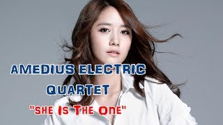 Amadeus Electric Quartet - She's The One (Kumar ELLAWALA)