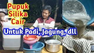 Membuat Pupuk Silika Cair Untuk Padi, Jagung, Tebu Dan Buah-buahan