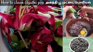 அகத்தி பூ சுத்தம் செய்து சுவையான அகத்தி பூ முட்டை பொரியல் செய்வது எப்படி/agathi poo poriyal/AKR#70