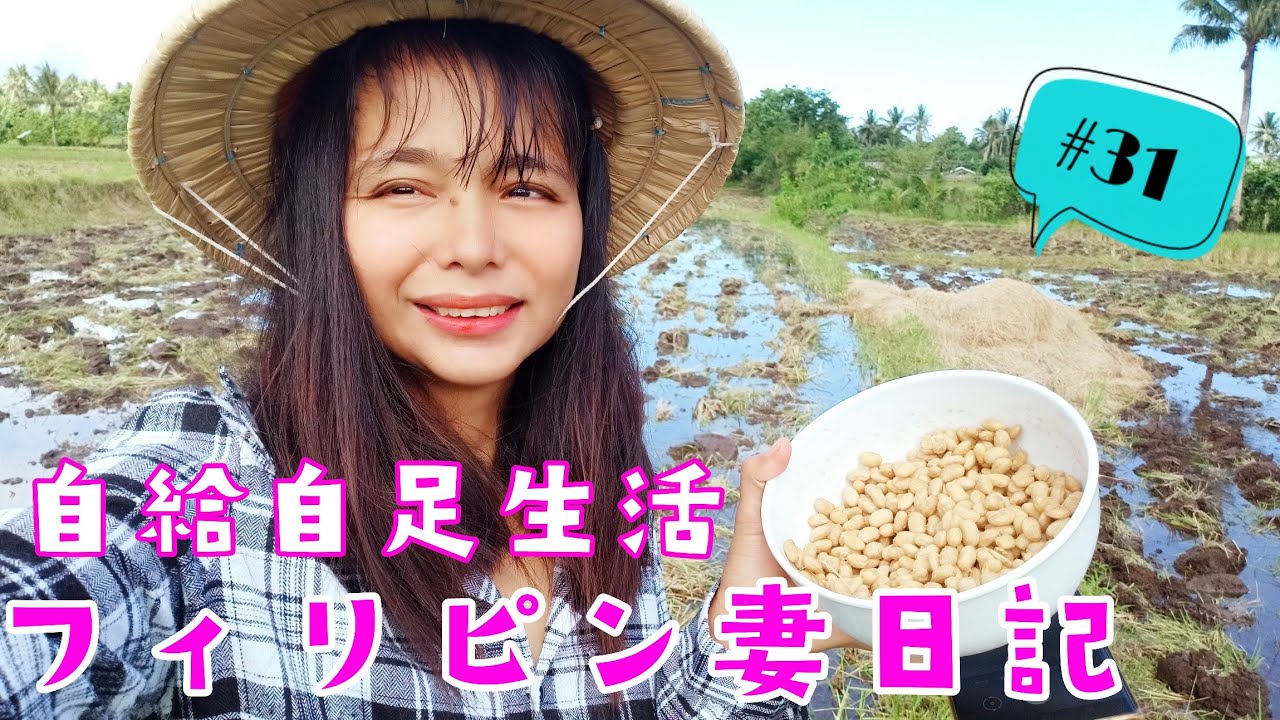 【フィリピン移住】稲刈り後に嫁に自家製ワラ納豆食べさせてみた