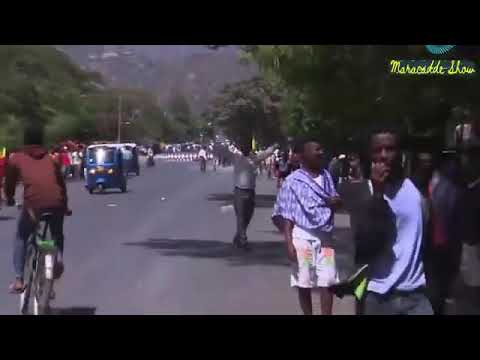 Dagaalka Itoobiya Iyo Tblf 