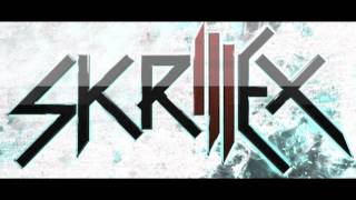 Skrillex - Ruffneck (Flex)