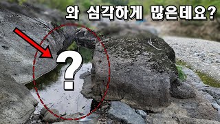 구출작전)자칫하면 싹 죽겠는데요? 고인물에 수만마리가 갇혀있다고 제보받고 갔는데...