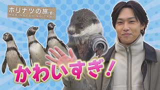 FANTASTICS堀夏喜が可愛らしい動物たちとふれあう！「ホリナツの