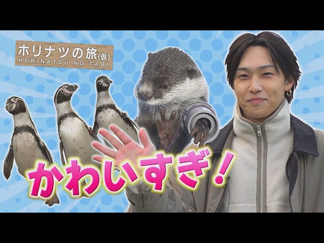 FANTASTICS 堀夏喜 ホリカン セット FANTASTICS 堀夏喜 ホリカン セット