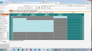 Customer Facing Optum Demo