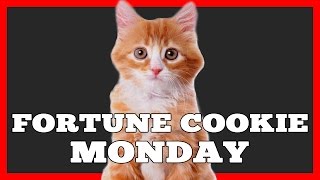 Daily Fortune Cookie! (Monday January 16, 2017) Happy Chinese New Year! Rooster @DueysPlace