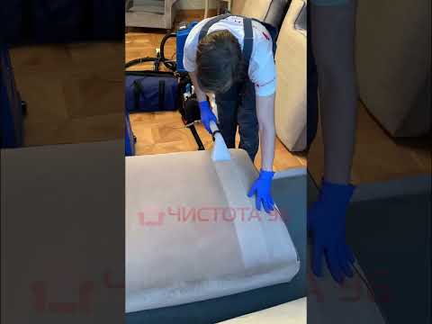 Химчистка дивана Чистота