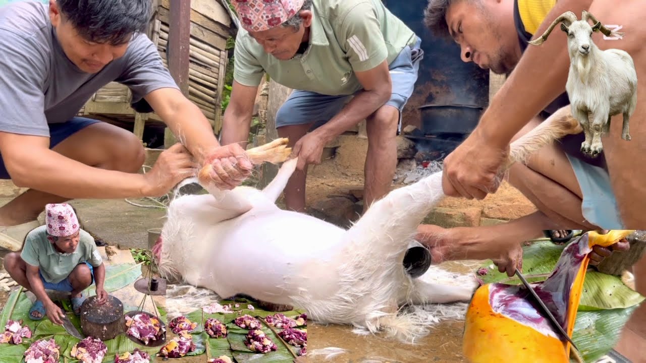 15 Aasar 2082 Goat Cutting In Nepali Village🇳🇵|| Dahi Chura Mitho Vayo 😍😜 