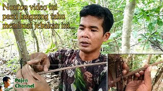 Download Lagu Hoe Pajen Channel kunstmatige vogelvallen te installeren - Beantwoord alle vragen over deze val MP3