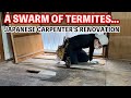 40-Year-Old Steel House: Shocking Termite Infestation! Room Torn Down by a Japanese Carpenter
