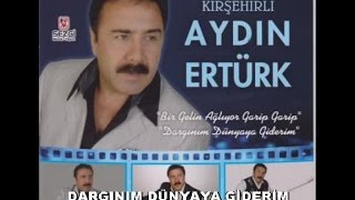 AYDIN ERTÜRK - DARGINIM DÜNYAYA GİDERİM Resimi