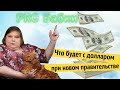 Что будет с долларом при новом правительстве / Адские бабки PRO