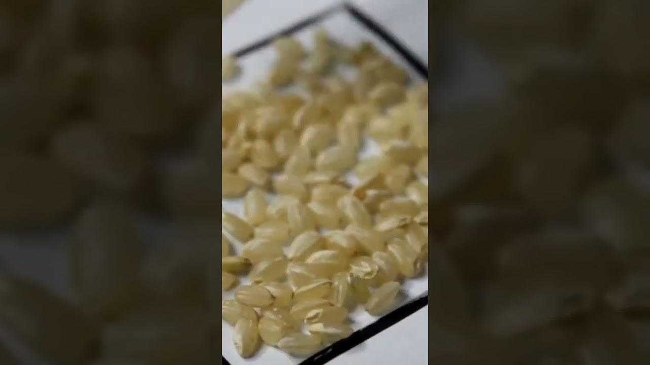 Organic Elements for Textures - Glue Embossed Tactile Image For The Blind