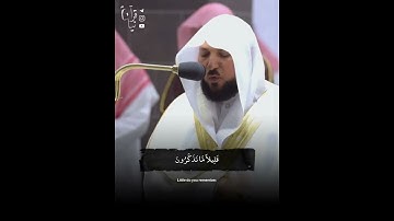 ﴿اتَّبِعوا ما أُنزِلَ إلَيكُم مِن رَبِّكُم﴾ فواتح سورة الأعراف للشيخ ماهر المعيقلي تراويح ١٤٤٣هـ 🤍.