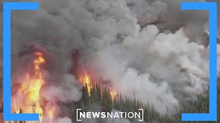 Canada official: Wildfires could last all summer | NewsNation Live
