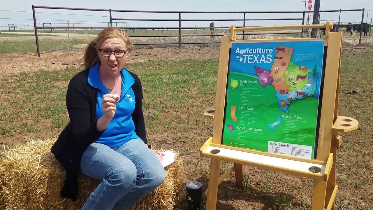 Cattle in the Classroom | Lesson 2 - Cattle Byproducts